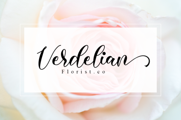 Blog Image 3