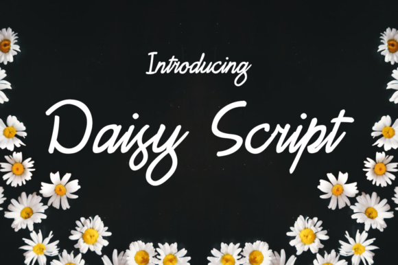 Daisy Script Font