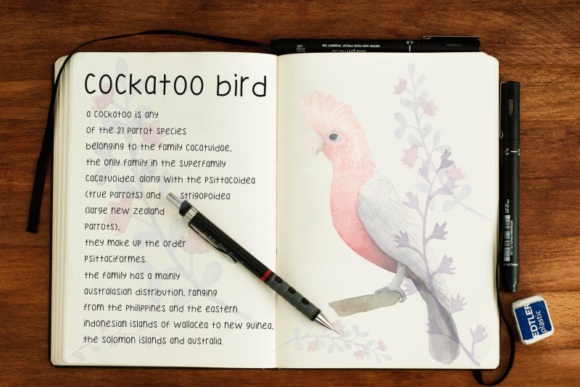 Blog Image 3