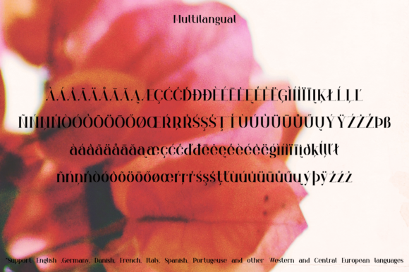 Blog Image 3