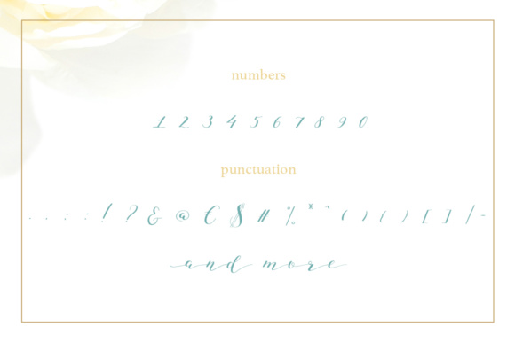 Blog Image 3