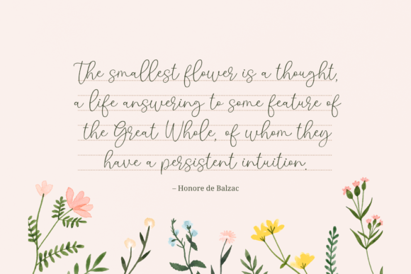 Blog Image 2