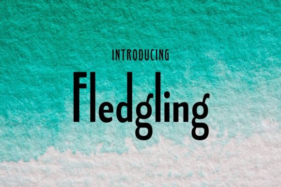 Fledgling Font