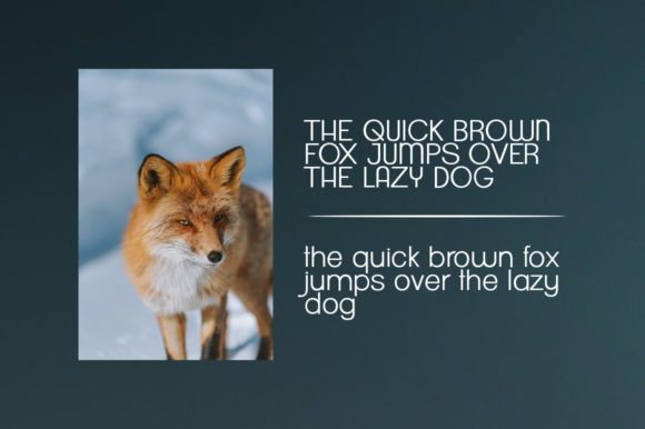 Blog Image 3