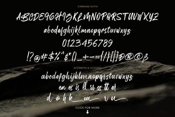 Blog Image 3