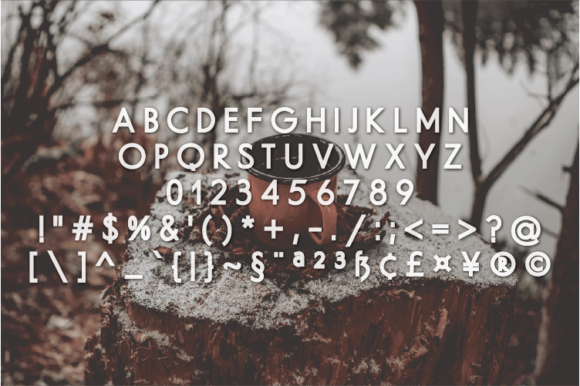 Blog Image 2