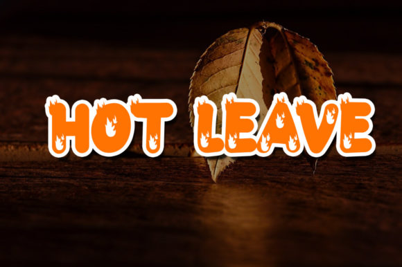 Blog Image 2
