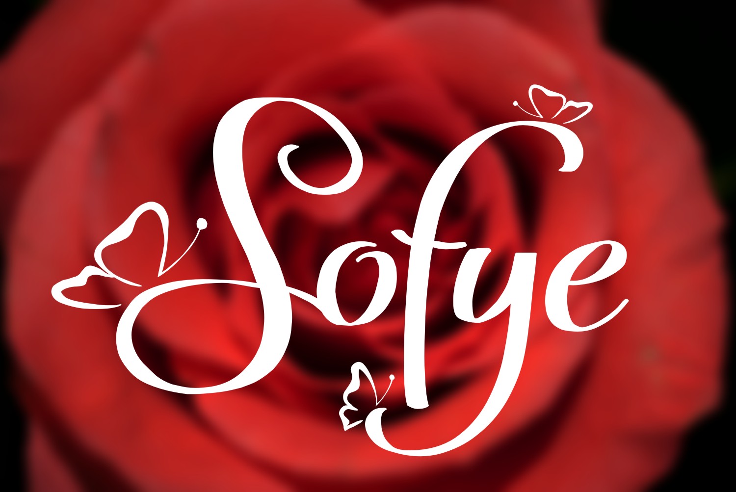 Sofye Font