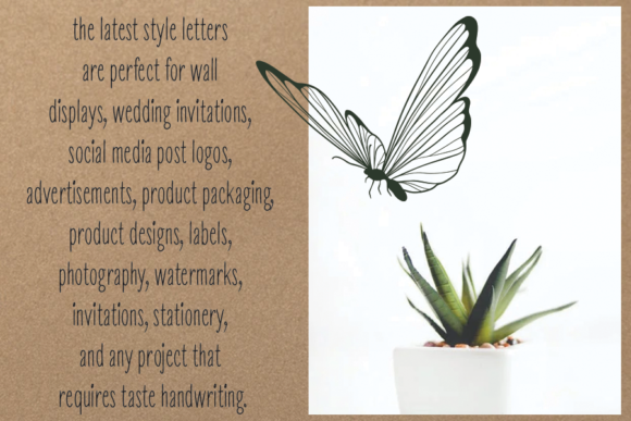Blog Image 3