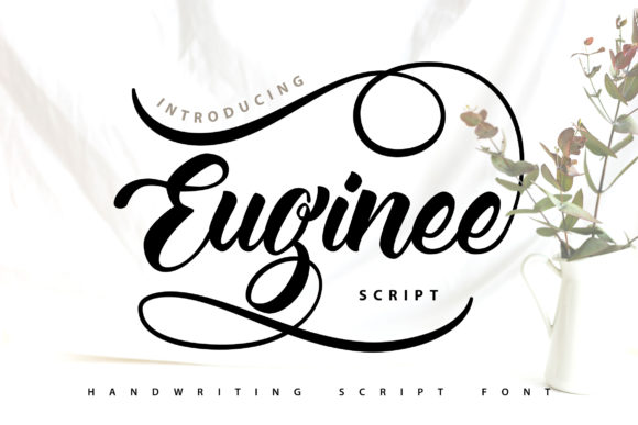 Euginee | Handwriting Script Font Font