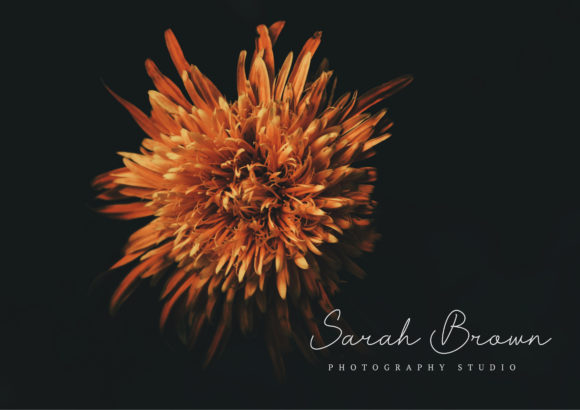 Blog Image 2