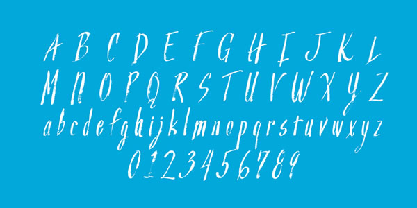 Blog Image 2