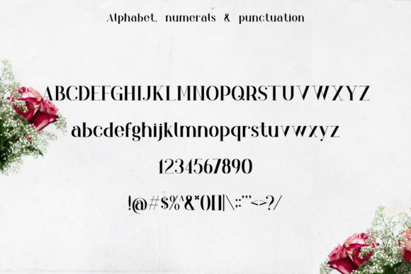 Blog Image 2