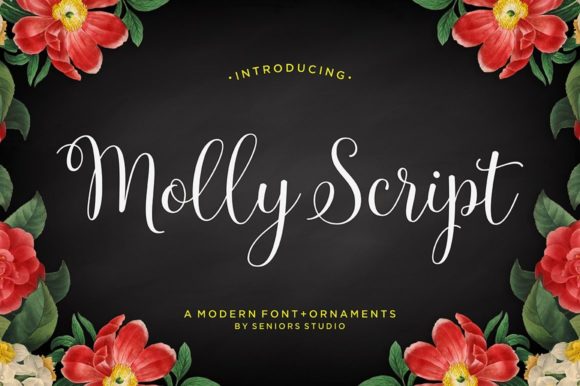 Molly Font