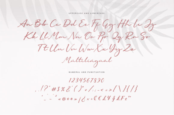 Blog Image 3