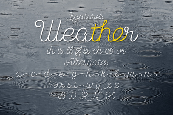 Blog Image 3