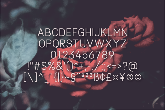 Blog Image 2