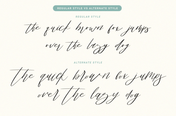 Blog Image 3