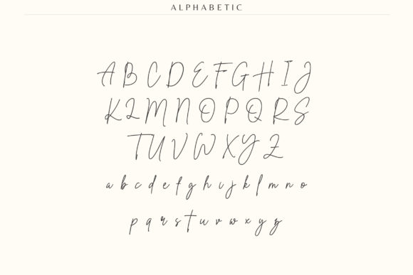 Blog Image 3