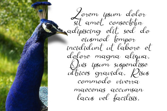 Blog Image 2