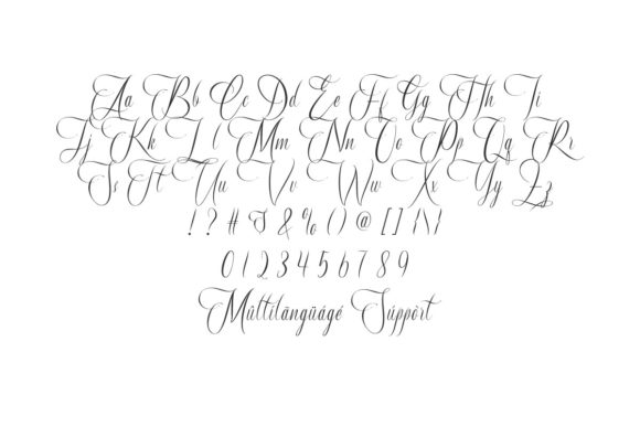 Blog Image 3