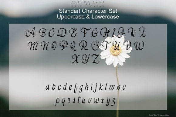 Blog Image 3