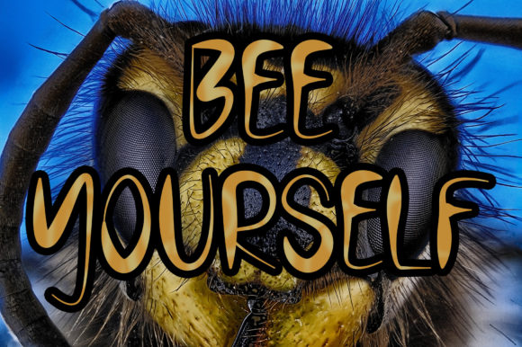 Blog Image 3