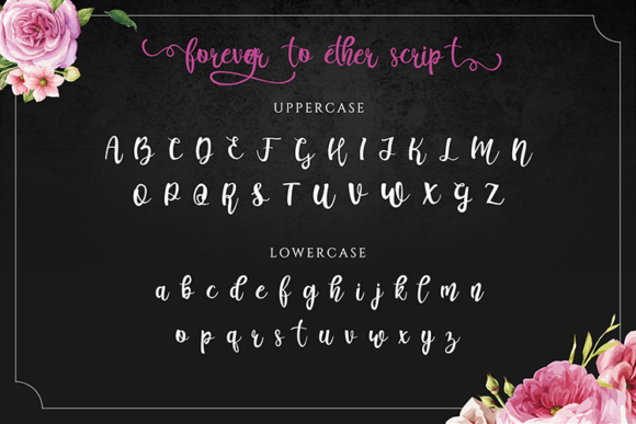 Blog Image 3