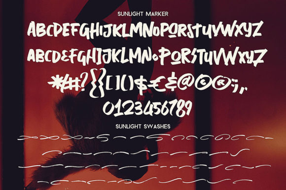 Blog Image 3