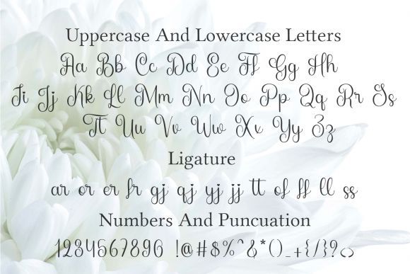 Blog Image 3