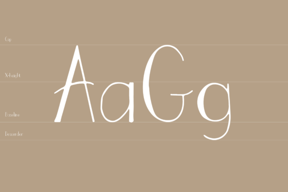 Blog Image 3