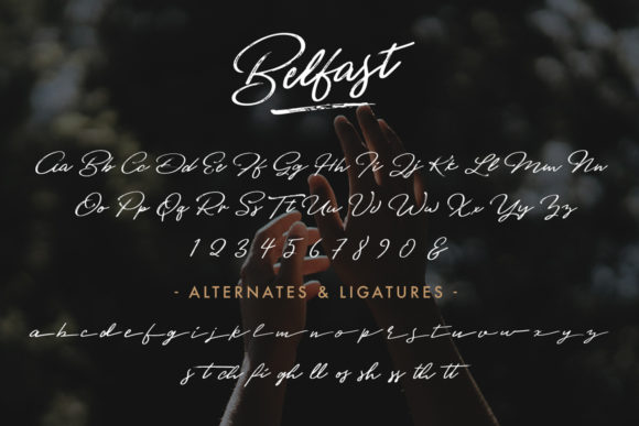 Blog Image 3