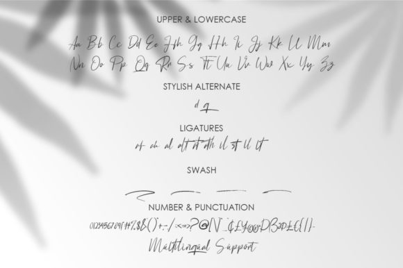 Blog Image 3